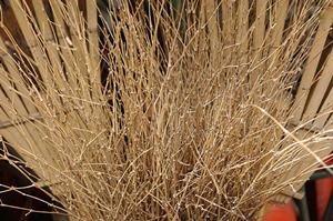 コンビニから出せるクリーニング注文