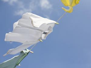 オフセット印刷の見積もりを取る場合