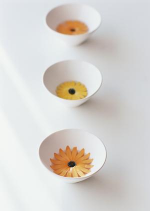 面倒なアンケート集計を任せられる