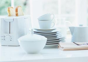 広島でイタチの特徴と行動を理解する